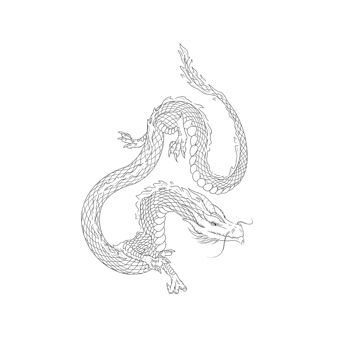 Fine line dragon tattoo